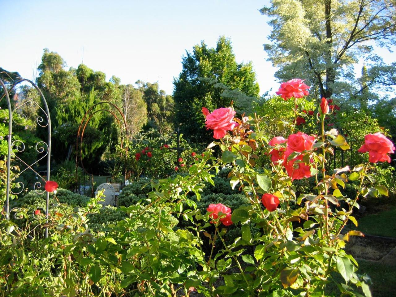 Bed and Breakfast Crabtree House Grove Экстерьер фото